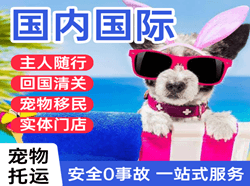 和田空运地址国际宠物托运 【国